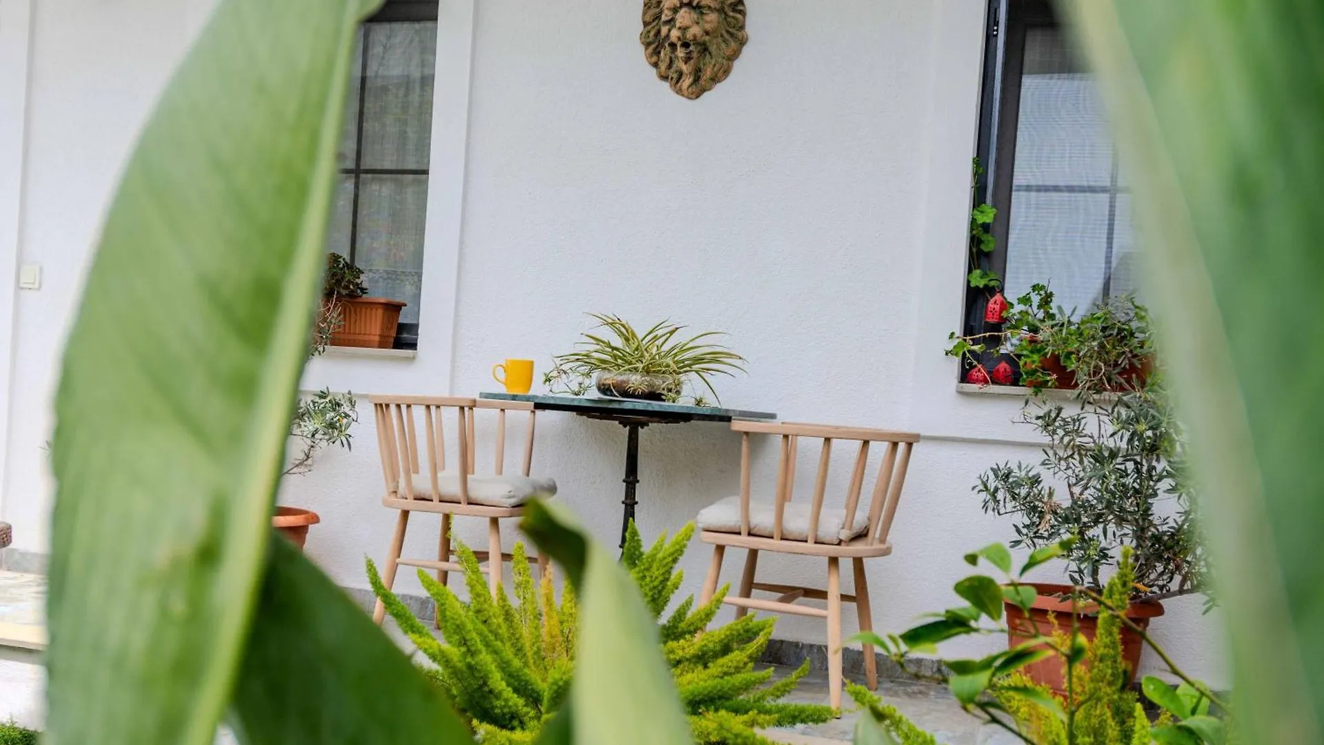 Arden'S House Bed and Breakfast Bodrum Tyrkiet